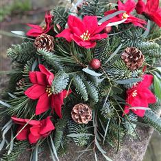 Festive Poinsettia Grave Spray