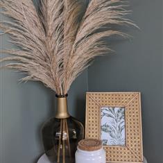 Natural Dried Pampas Grass