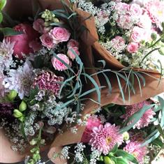 6 Month Subscription